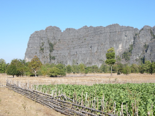 paysage du sud
