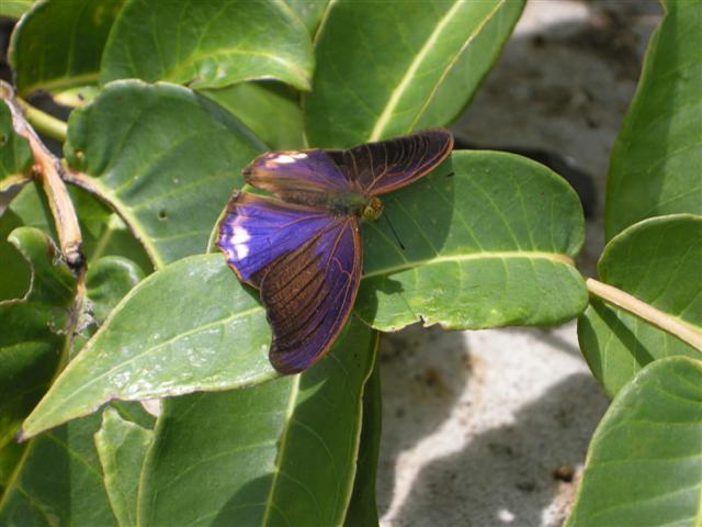 DSCN0521