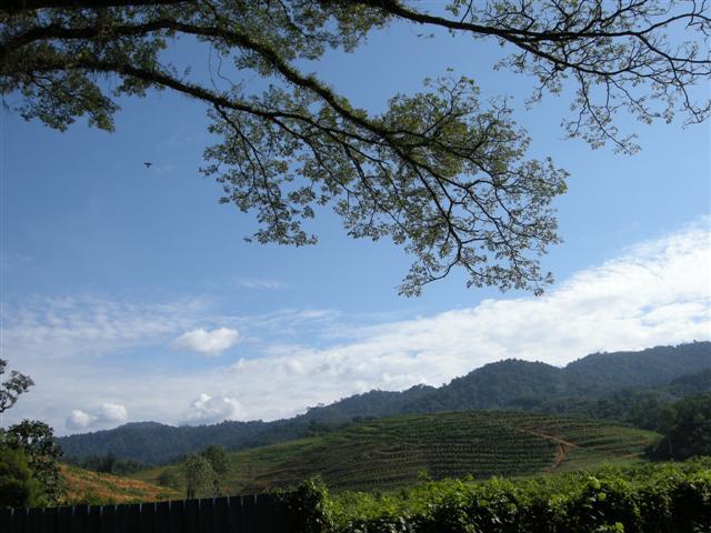 DSCN0659