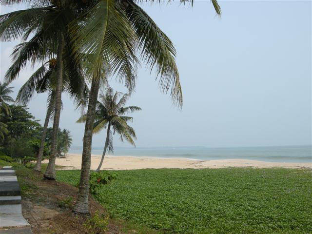 DSCN9967