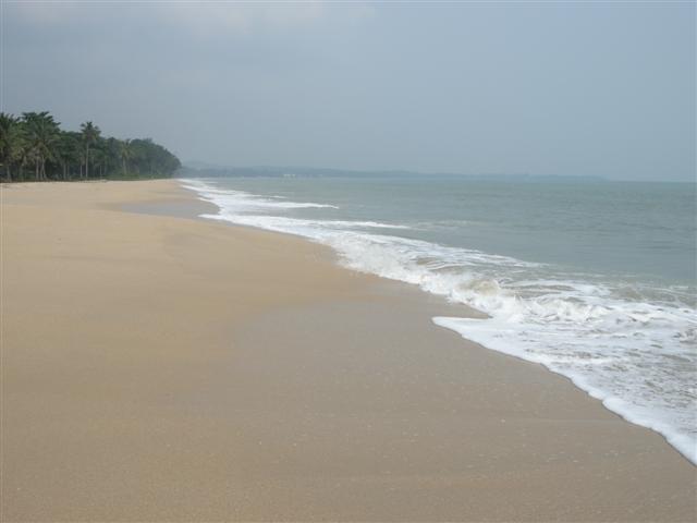 DSCN9971