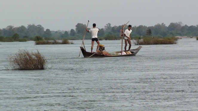 chasing the Mekong dolphins