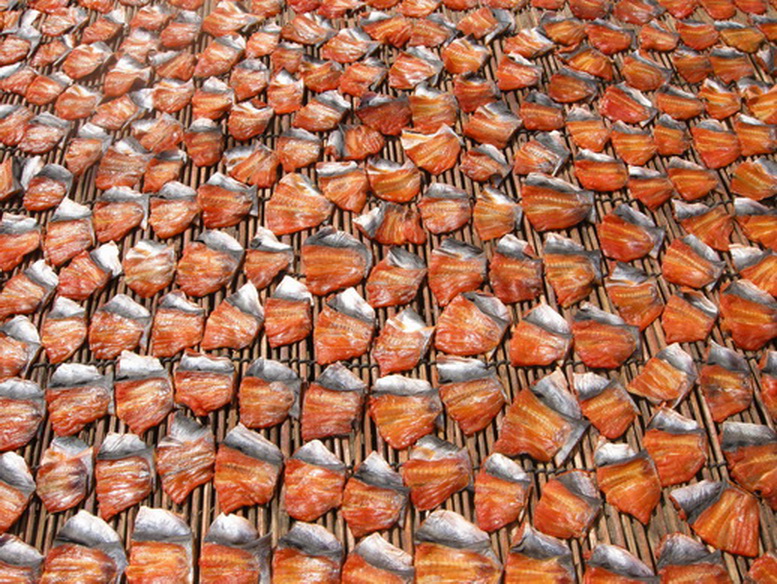 drying fish