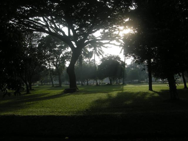 DSCN9357