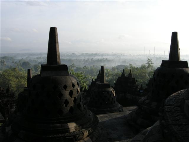 DSCN9461