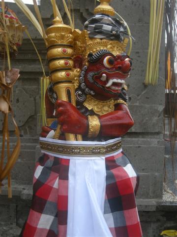 DSCN8545