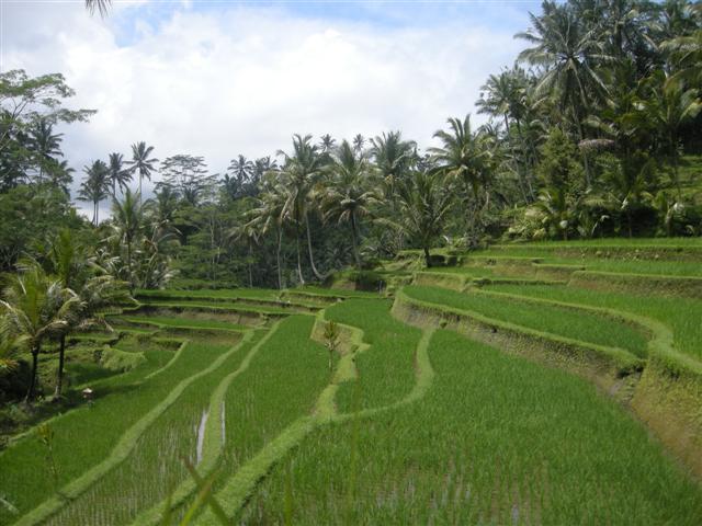 DSCN8663