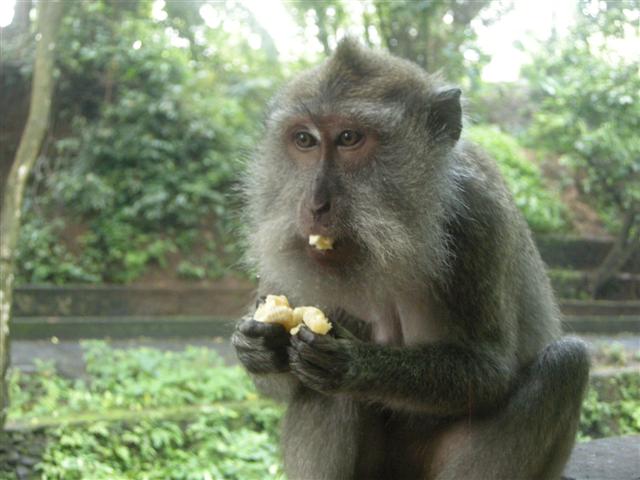 DSCN8708