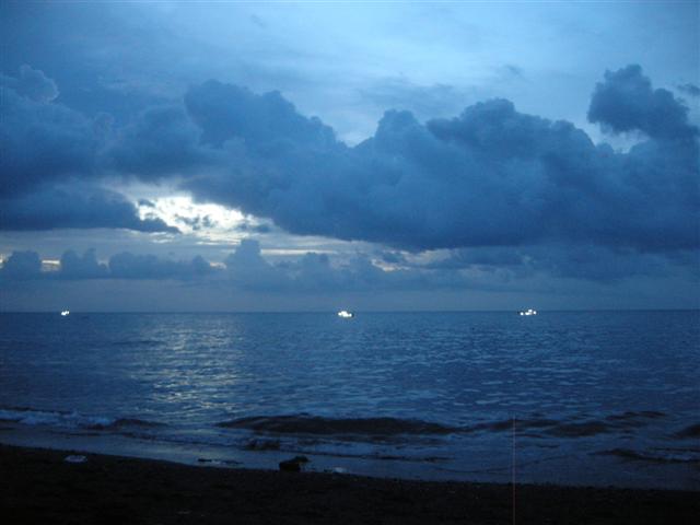 DSCN8825