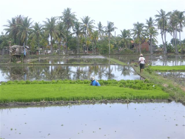 DSCN8830