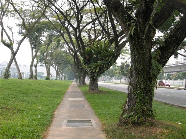 DSCN9873