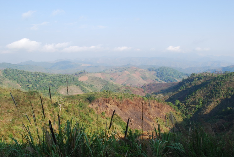 Lao landscape