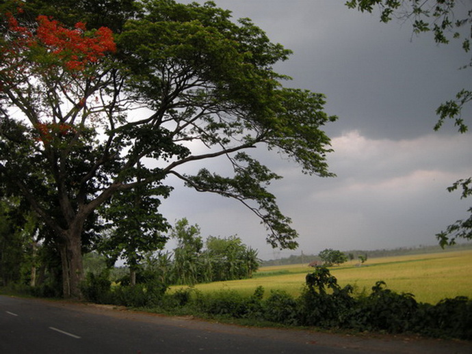 before the storm