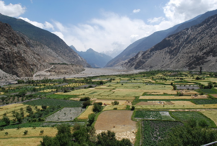 l'agriculture nepalese