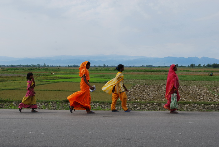 le vent de terai