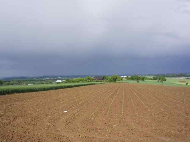 P5230170