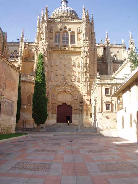 P7260035 : Cathdrale de Salamanca