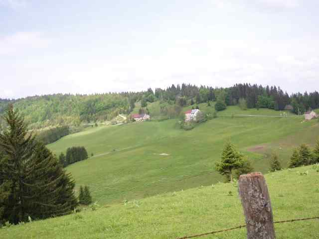 P6040261