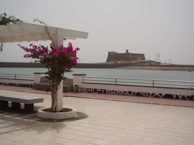 P9030239