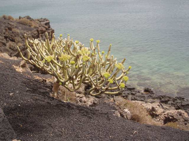 P9030254