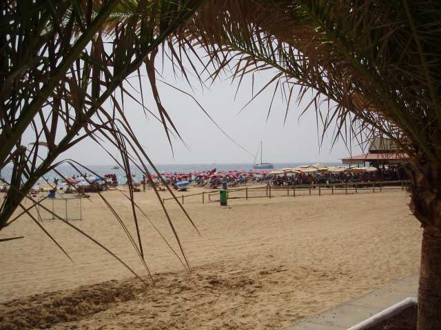 P9090323