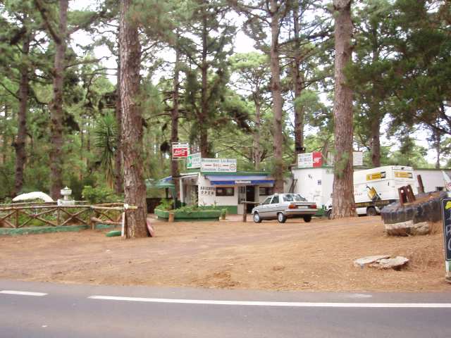 P9190346