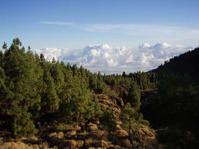 P9200384