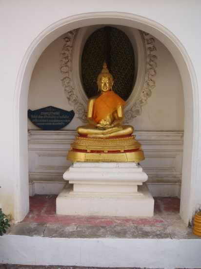 P2110051